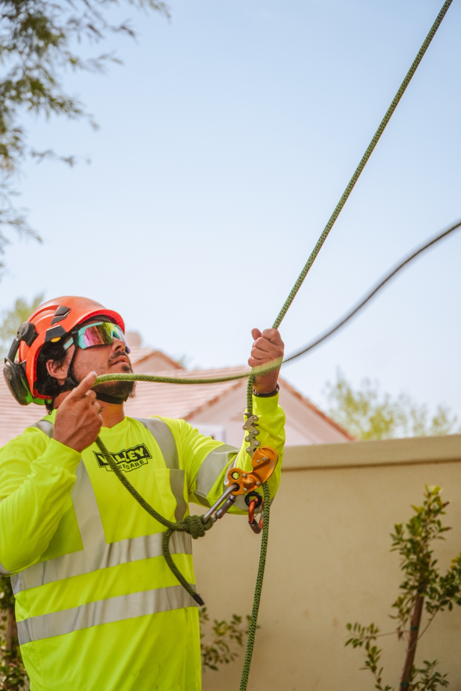 Valley Tree Care — climber rigging up