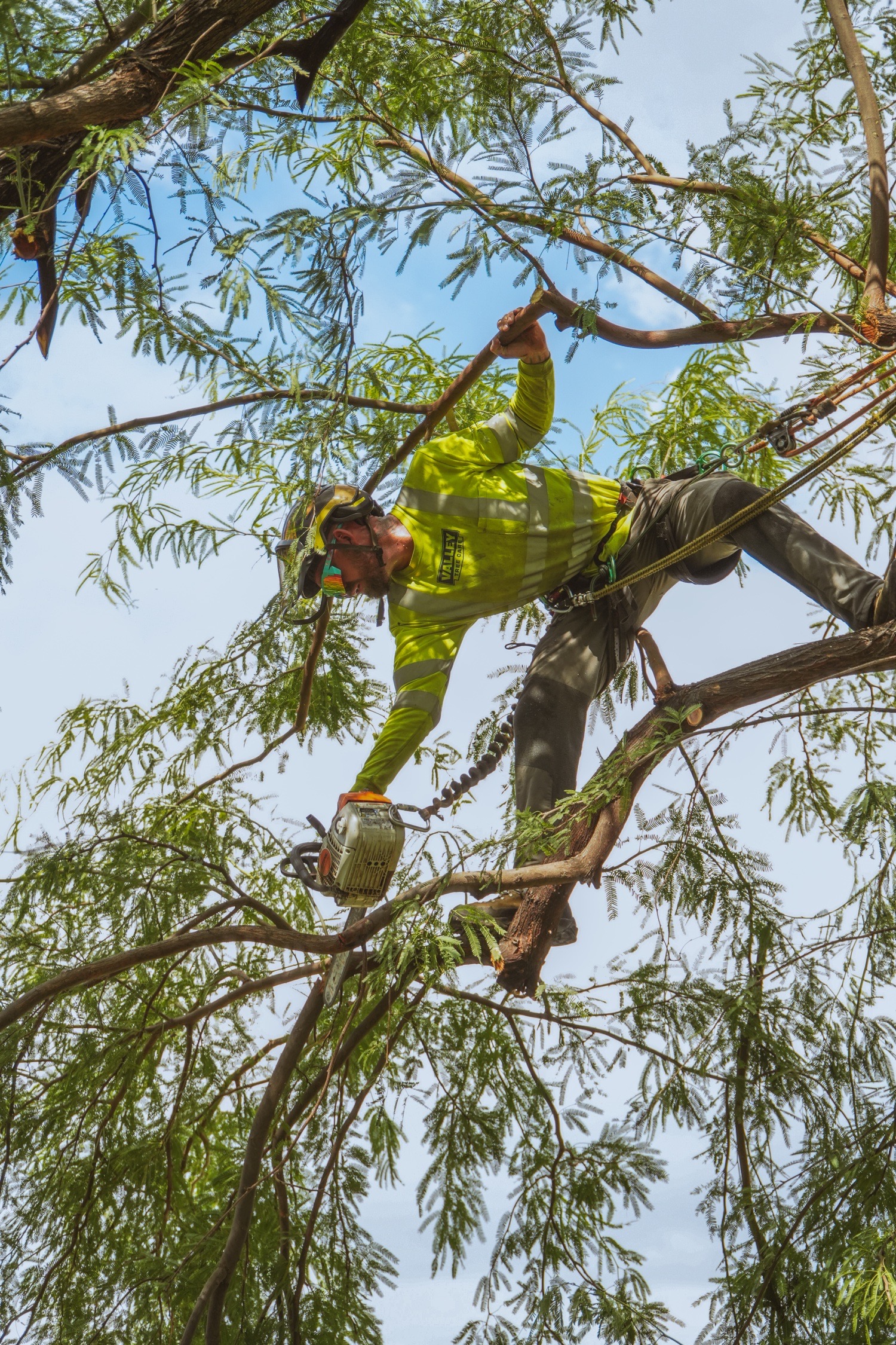 Valley Tree Care — on the job