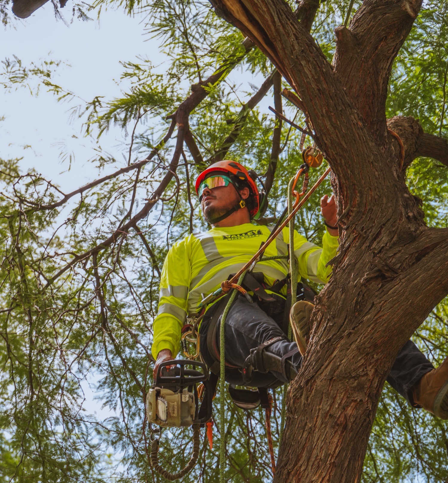 Valley Tree Care — on the job