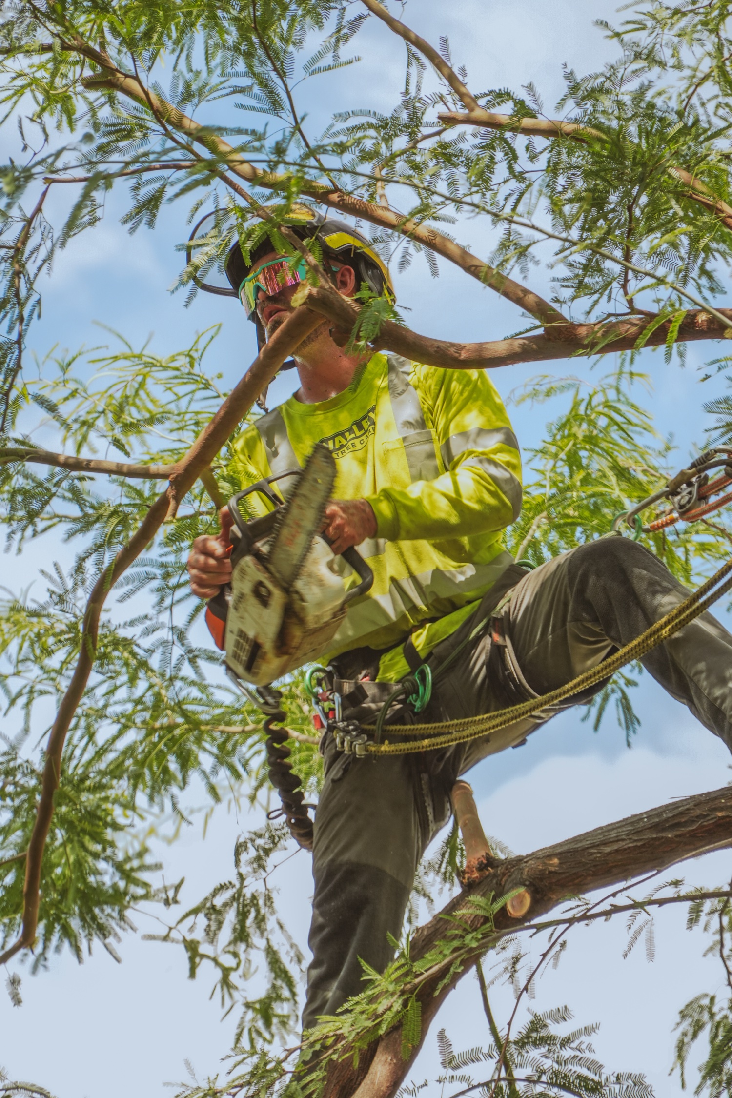 Valley Tree Care — on the job