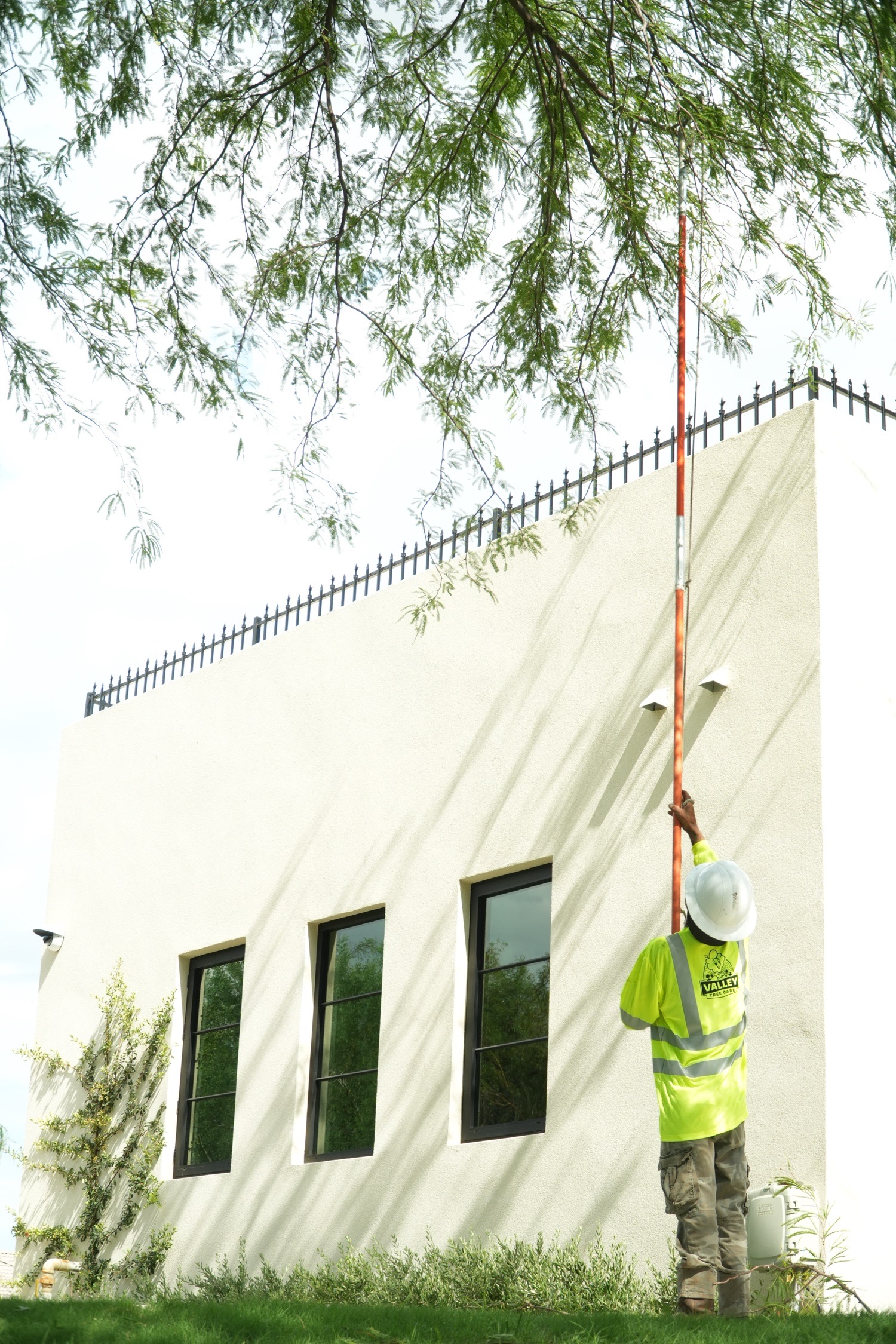 Valley Tree Care — on the job