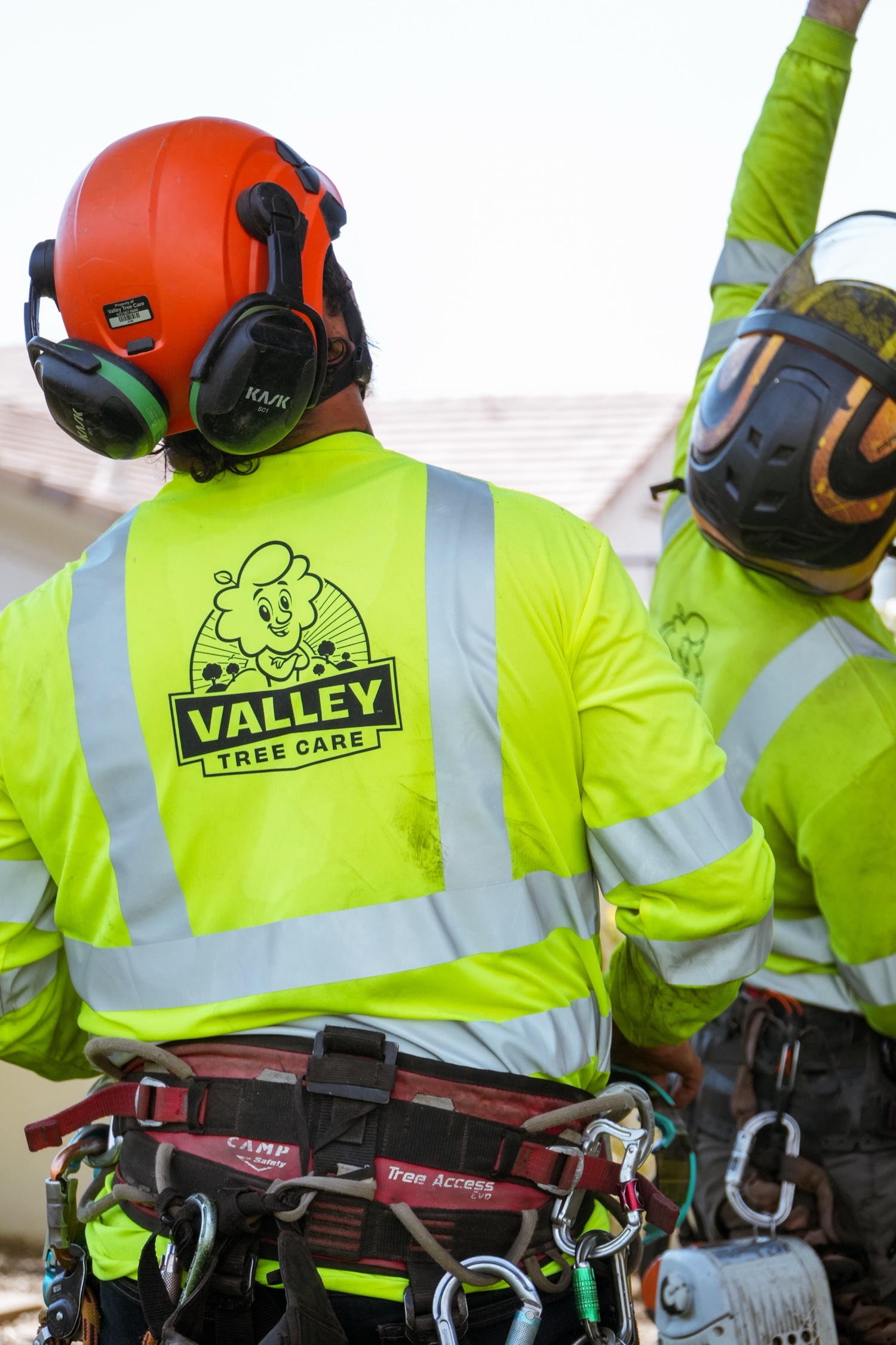 Valley Tree Care — on the job