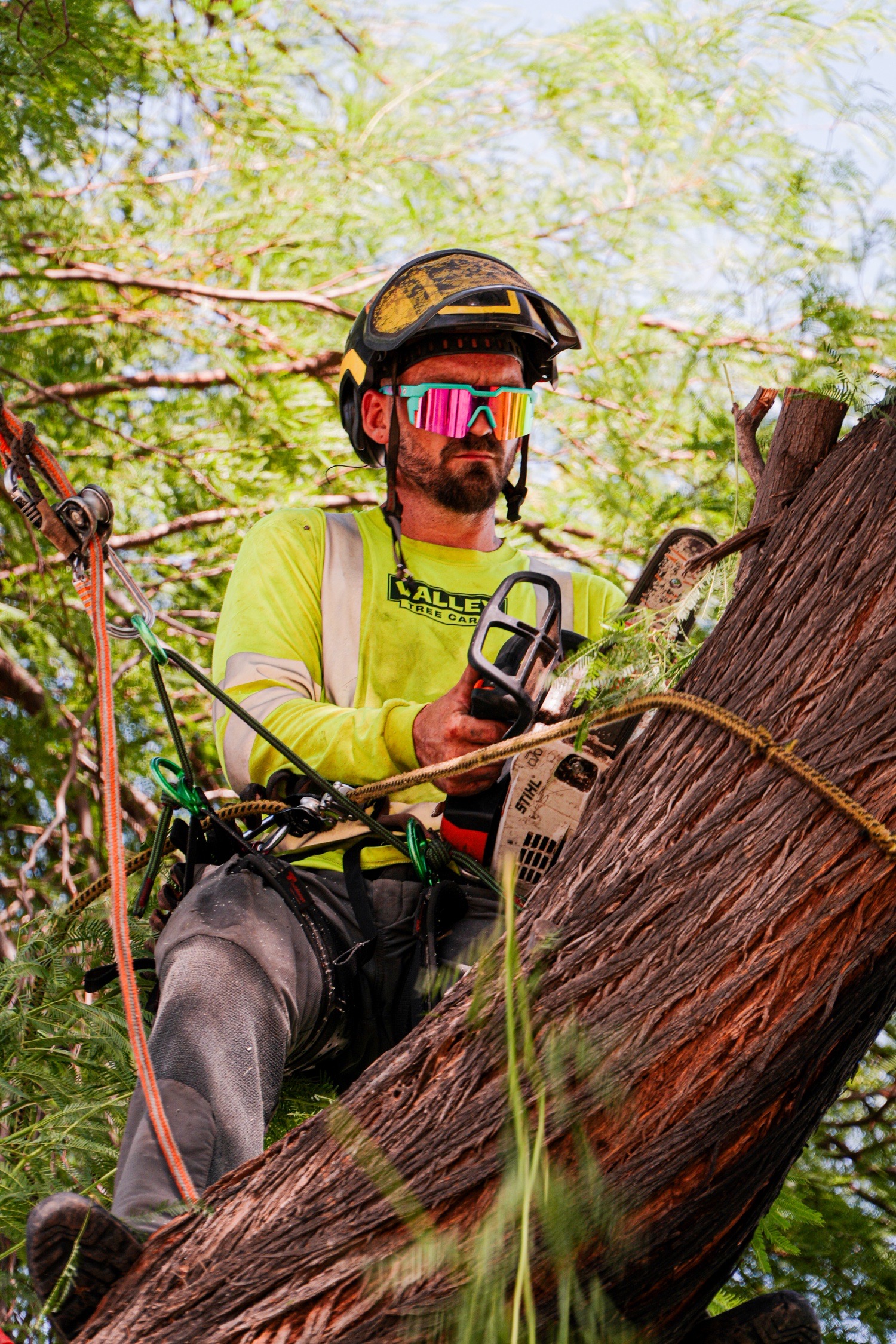 Valley Tree Care — on the job