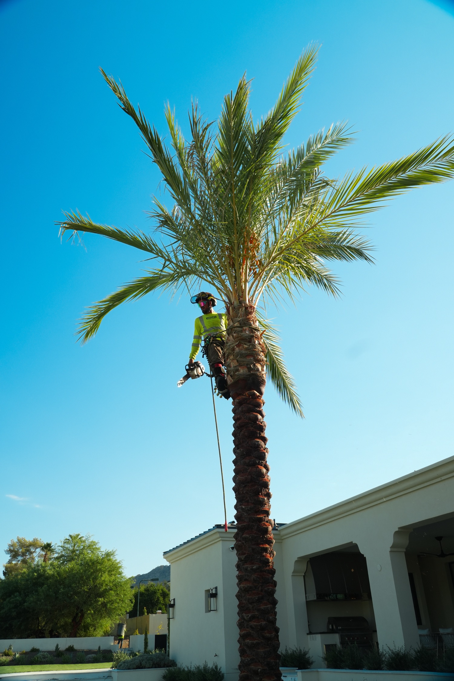 Valley Tree Care — on the job